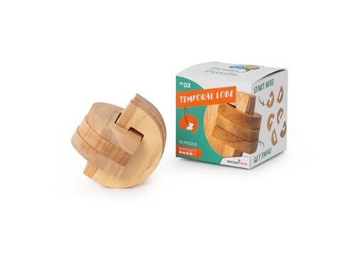 Wooden interlocking puzzle and its box, labeled “Temporal Lobe.”