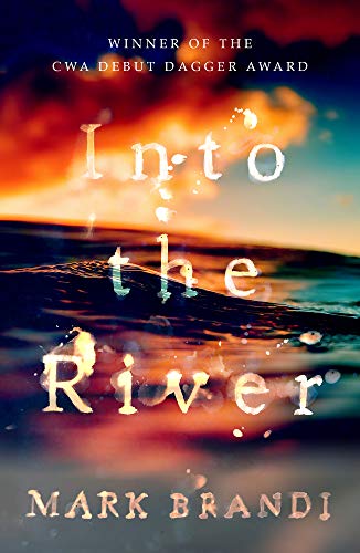 Book cover: “Into the River” with fiery sky and water imagery.