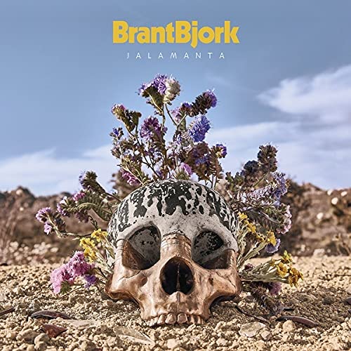 Skull adorned with wildflowers against a desert landscape, album cover.