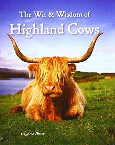 Book cover featuring a fluffy, long-horned Highland cow resting in grass.