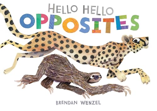 Children’s book cover with a cheetah and a sloth, titled “Hello Hello Opposites.”