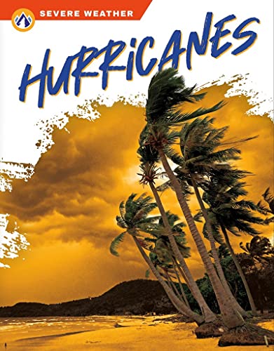 Book cover depicting palm trees bending in a hurricane wind.