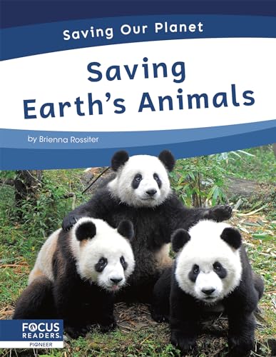 Book cover featuring three panda cubs in a bamboo forest.