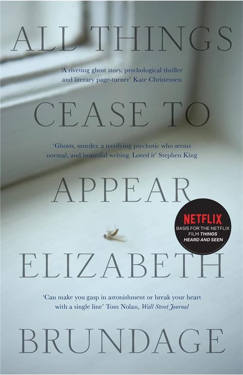 Book cover with title text, author Elizabeth Brundage, and a small fly.
