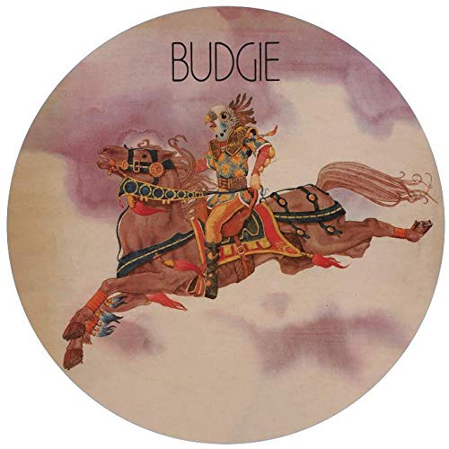 "Vinyl picture disc with illustration of a man riding a horse in mid-air."