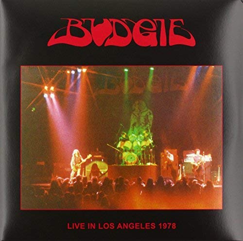 Budgie logo above a concert stage with band members performing before a live audience.