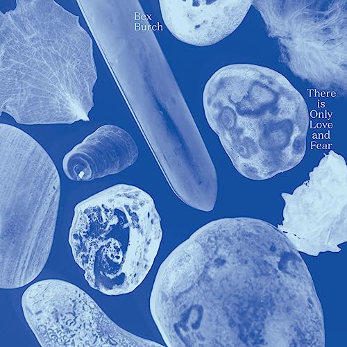 CD cover with blue background and abstract, textured organic shapes.