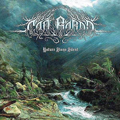 Album art showing a river inP flowing through a rainy, mountainous forest landscape.