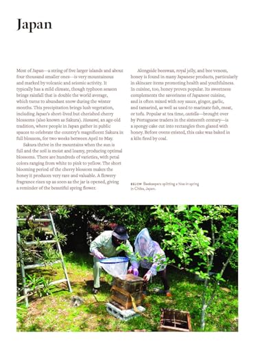 Two beekeepers in protective veils working with a beehive in a garden setting.