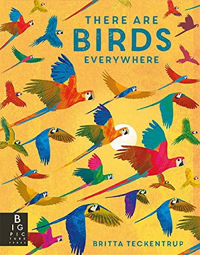 Book cover titled There Are Birds Everywhere featuring many colorful parrots flying on yellow background.
