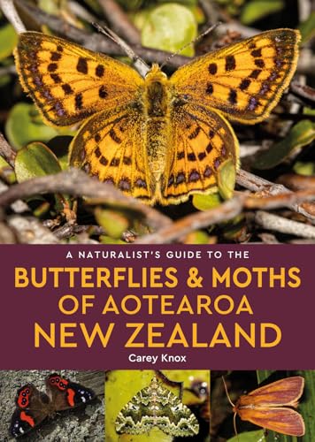 Book cover featuring a yellow butterfly and New Zealand moth guide.