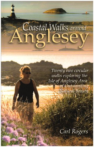 Book cover: coastal scene with a woman walking, lighthouse, and island.