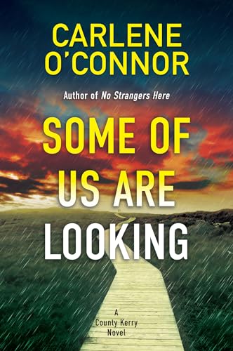 Book cover: "Some of Us Are Looking" with a road and stormy sky.