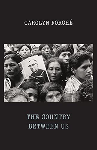 Book cover: black and white photo of people, title "The Country Between Us".