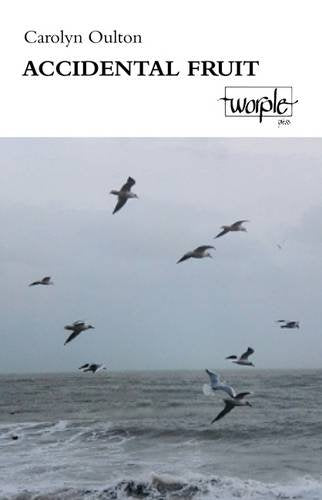 Book cover: “Accidental Fruit” with a seascape and flying birds.