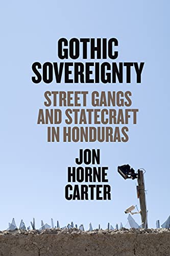 Book cover: "Gothic Sovereignty" with a security camera image.