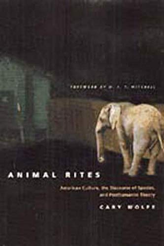 Book cover featuring an elephant in a dimly lit, zoo-like setting.