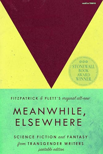 Book cover: “Meanwhile, Elsewhere” with geometric design and award sticker.