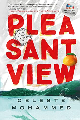 Book cover for “Pleasantview” with red title, orange, and green landscape.