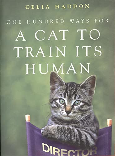 Book cover with a tabby kitten peering over a “DIRECTOR” chair.