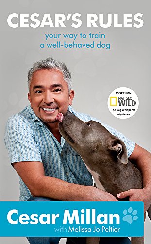 Book cover: Cesar Millan with a pit bull, dog training guide.