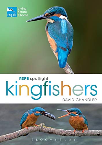 Book cover featuring a brightly colored kingfisher perched on a branch.