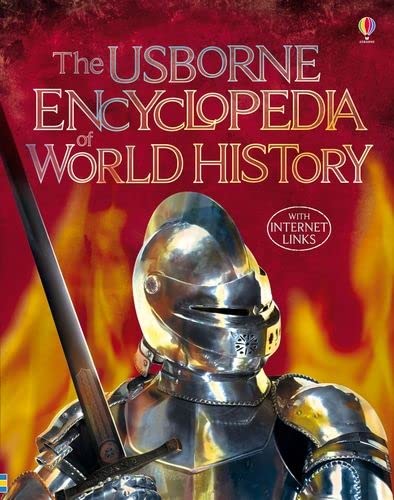 Book cover featuring a knight in shining armor holding a sword against fiery background.