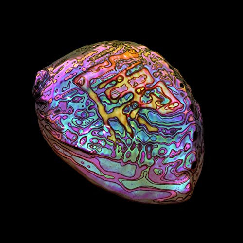 Iridescent, abstract heart-shaped object on a black background.