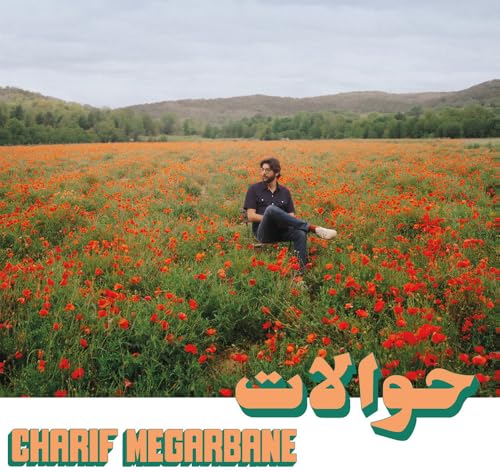 Man sitting in a field of red poppies, album cover art.
