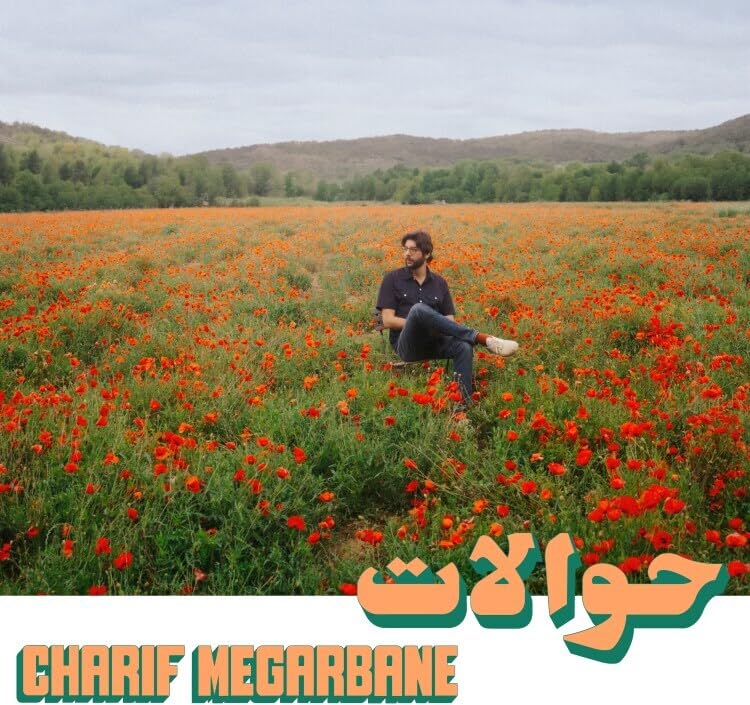 Man sitting in a field of red poppies, album cover art.