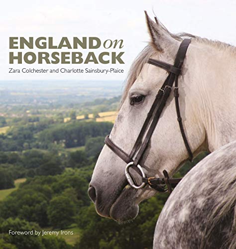 Close-up of a grey horse’s head with bridle, green landscape background.