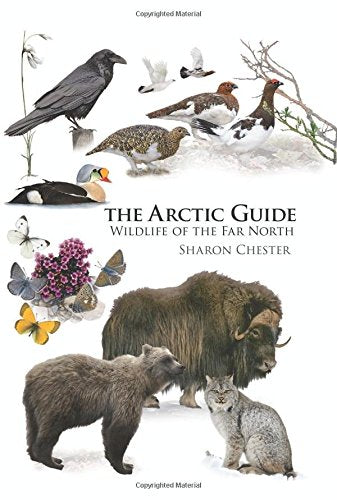 Book cover featuring arctic animals: birds, bear, muskox, and lynx.