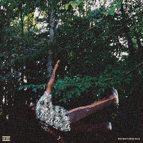 Album cover: person lying in foliage, with a fish and trees.