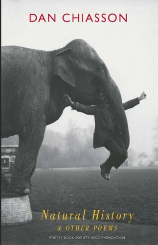 Book cover: elephant with a person seemingly falling from under it.