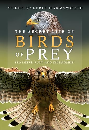 Book cover featuring a hawk with outstretched wings, detailed feathers.