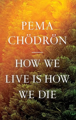 Book with dark or muted cover, featuring title and author name in readable text.