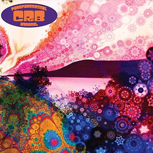 The image depicts a vibrant, psychedelic album cover. Key visual characteristics include: * A colorful, abstract landscape with floral patterns * A purple oval logo with orange text * A serene lake and mountain scene in the background Alt text: "Album cover with psychedelic landscape, floral patterns, and purple logo."