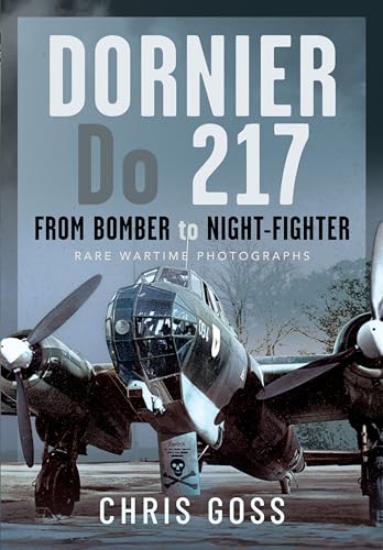 Book cover featuring a Dornier Do 217 aircraft with a skull and crossbones emblem.