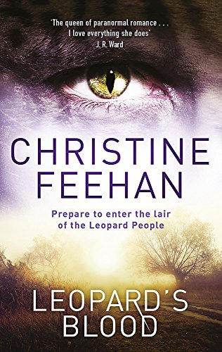 Book cover with a close-up of a cat-like eye and misty landscape.