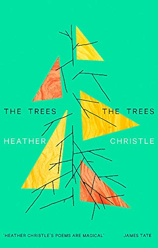Book cover with abstract yellow and red triangles on teal background.