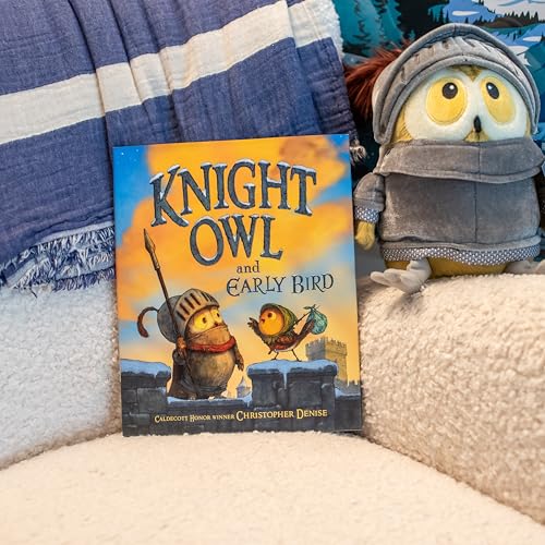 Book cover with an owl knight and bird, next to a plush owl.