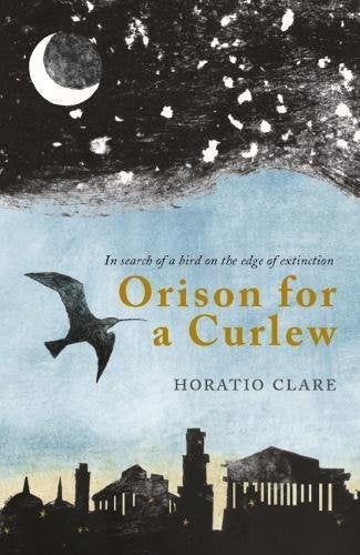 Book cover featuring a curlew silhouette, a crescent moon, and a dark city skyline.