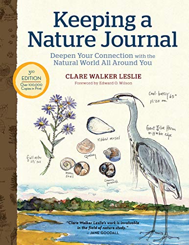 Book cover with watercolor illustrations of a heron, flowers, and shells.