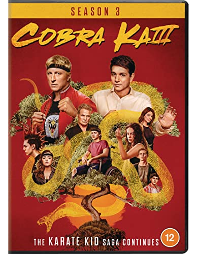 Cobra Kai Season 3 DVD cover featuring characters from the series.