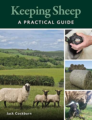 Book cover titled Keeping Sheep by Jack Cockburn featuring sheep in a rural landscape.