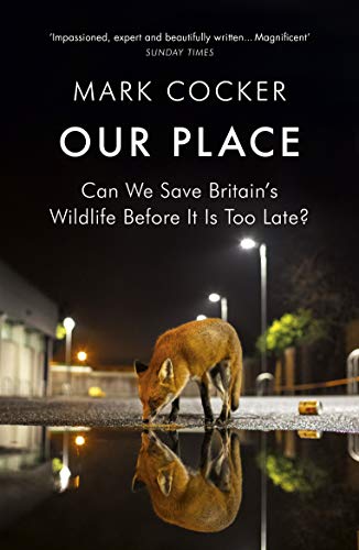 Book cover featuring a fox reflected in a wet urban street.