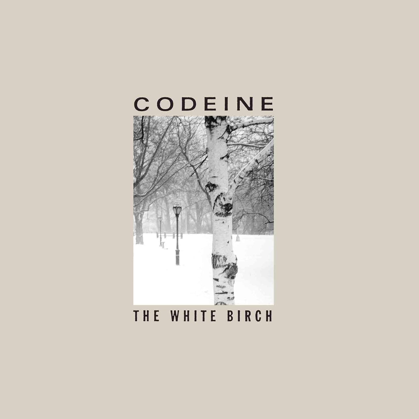 Album cover for Codeine’s “The White Birch” featuring a snowy birch tree.