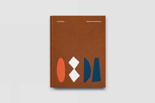 Brown book cover with abstract geometric shapes in orange, white, and blue.
