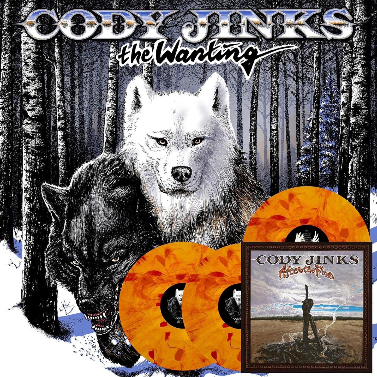 Cody Jinks vinyl record, likely a black disc in a cardboard sleeve.