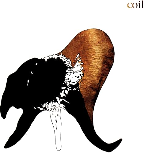 CD cover: black and brown antlers against a white background.